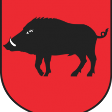 Kurs podstawowy dla nauczycieli w Łęcznej 2017 Kurs podstawowy dla nauczycieli w Łęcznej 2017